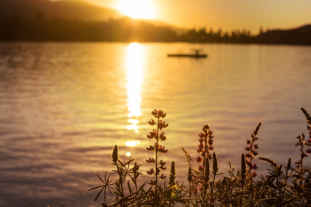 Sunset scene on the lake at sunset summer nature landscapes